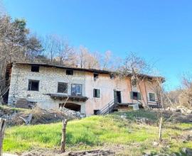 AMPIO RUSTICO con 7.000 mq di terreno!