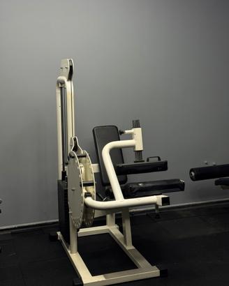 Leg cult seduto TECA - Rehab - palestra