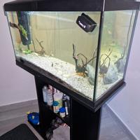 acquario 100 litri 