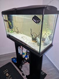 acquario 100 litri 