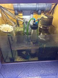 Acquario marino da circa 500litri 170x55x65