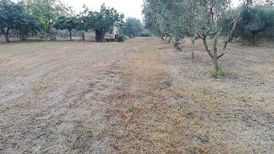 Terreno con rudere - Cutrofiano