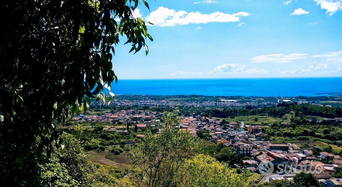 Agrumeto panoramico - Vista 5
