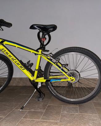 Bicicletta 24’’
