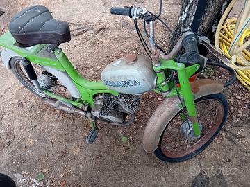 malanca 50