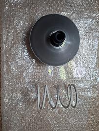 Variatore Malossi Honda Sh 300