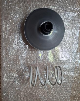 Variatore Malossi Honda Sh 300