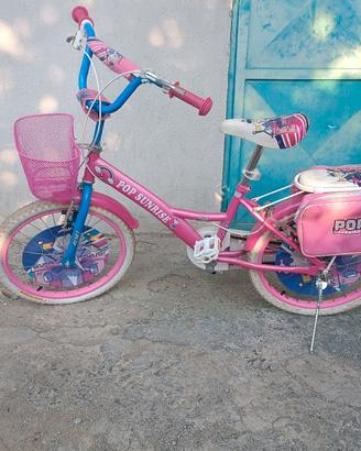 bicicletta 