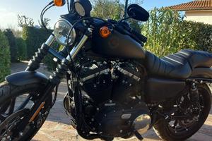 HARLEY DAVIDSON IRON 883