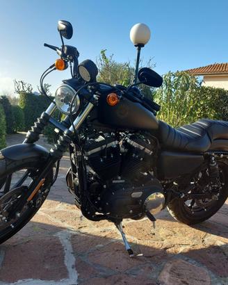 HARLEY DAVIDSON IRON 883