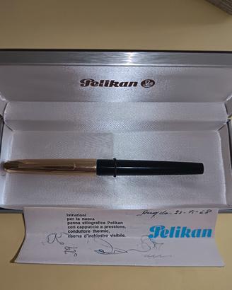 Penna Stilografica Pelikan30