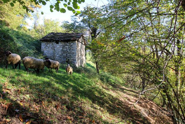 Rustico/Casale/Corte Cerano d'Intelvi