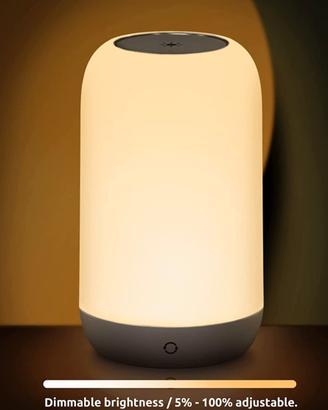 Luce Notturna Portatile Wireless 24 Tonalità