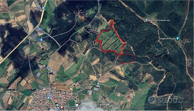 Terreno Agricolo di Proprietà