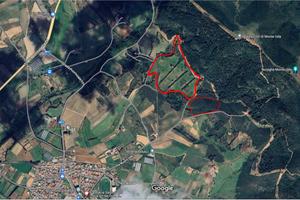 Terreno Agricolo di Proprietà