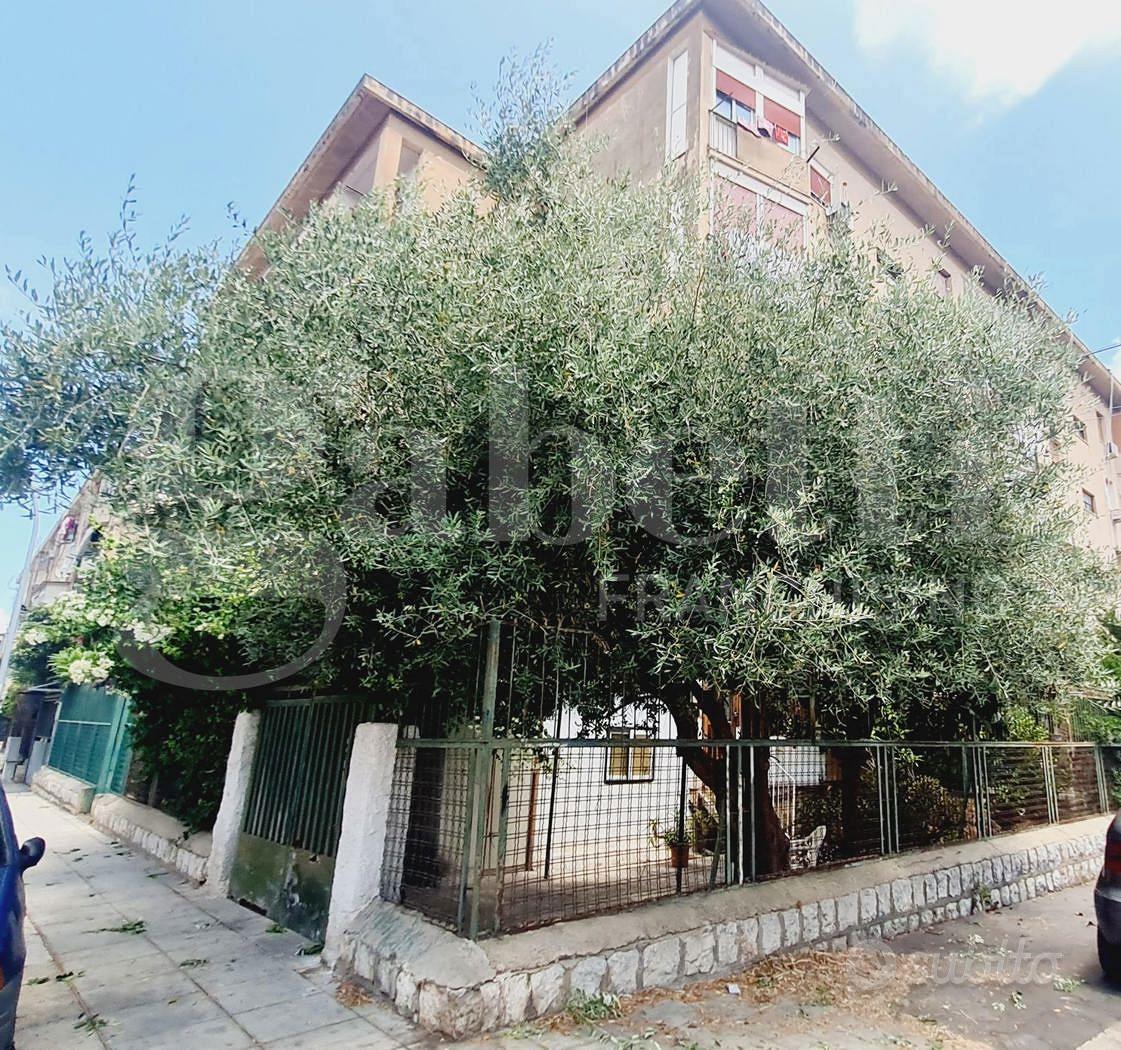 Appartamento – Palermo, Falsomiele, III Circoscrizione - Vista 3