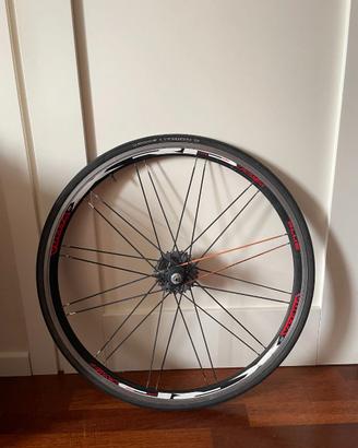 Ruota Posteriore BDC Vuelta Crosser + Pignoni 9v