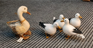 Decorazioni per vetrine e interni