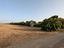 Immagine 8