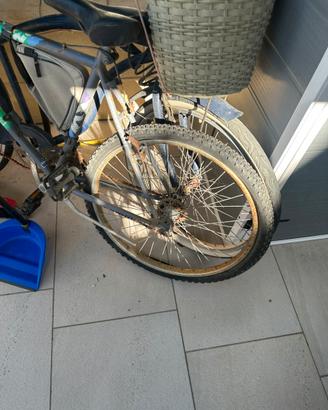 moutain bike e city bike