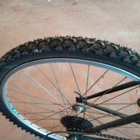 Bicicletta mountain bike