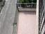 Immagine 7