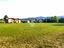 Immagine 7