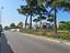 Immagine 8