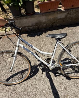 Bicicletta