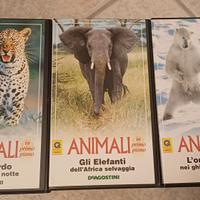 3 videocassetta sugli animali