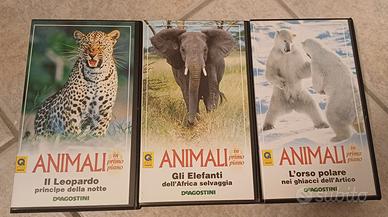3 videocassetta sugli animali