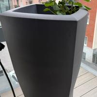 Venduamo due vasi grandi in pvc da esterno