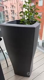 Venduamo due vasi grandi in pvc da esterno