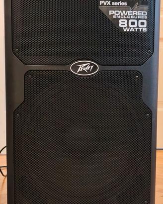 Peavey Peavey PVX™P 15 DSP