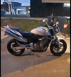 honda hornet 