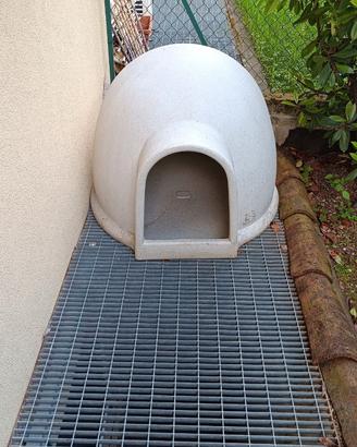 cuccia cane