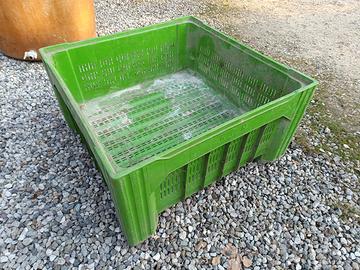 bins contenitore cassetta gigante in plastica 