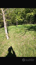 Terreno a borgone di susa per apicultura