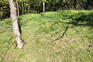 Terreno a borgone di susa per apicultura