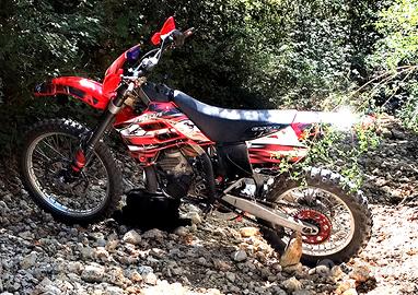 Gas gas EC 300 2 tempi
