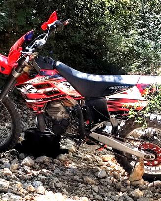 Gas gas EC 300 2 tempi