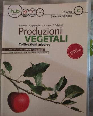 Libri scolastici
