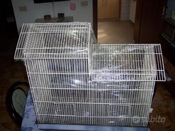 gabbia per cova uccelli