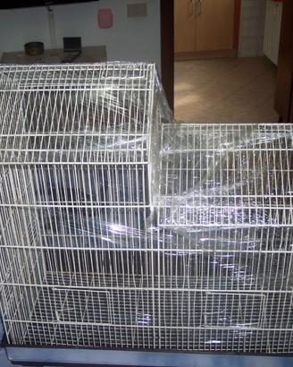 gabbia per cova uccelli