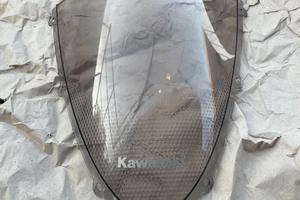 Cupolino kawasaki ninja zx6r