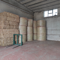 Vendita foraggio x animali