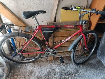 Bici treking