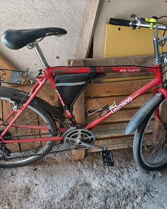 Bici treking