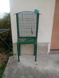 gabbia per uccelli