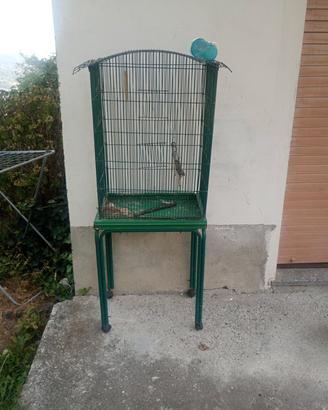 gabbia per uccelli